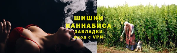 ПСИЛОЦИБИНОВЫЕ ГРИБЫ Заволжье