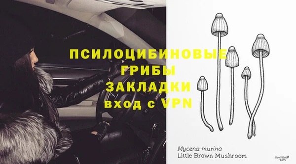 первитин Заводоуковск