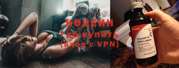 ПСИЛОЦИБИНОВЫЕ ГРИБЫ Заволжье