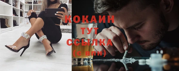 ПСИЛОЦИБИНОВЫЕ ГРИБЫ Заволжье