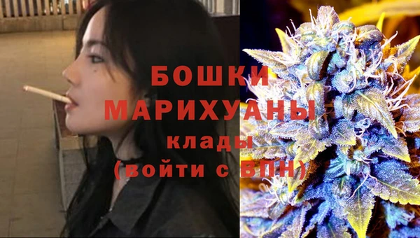 первитин Заводоуковск
