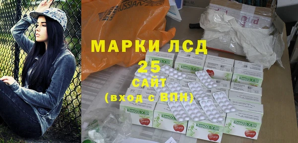 ПСИЛОЦИБИНОВЫЕ ГРИБЫ Заволжье