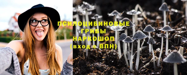 2c-b Елизово