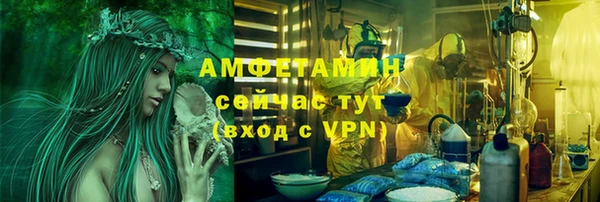 ПСИЛОЦИБИНОВЫЕ ГРИБЫ Заволжье
