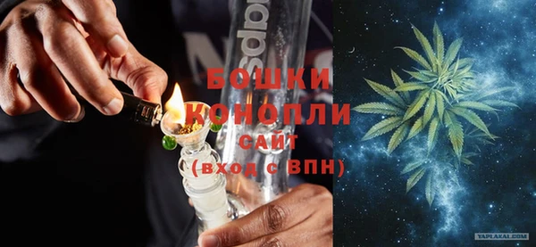 ПСИЛОЦИБИНОВЫЕ ГРИБЫ Заволжье